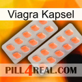 Viagra Capsule 27